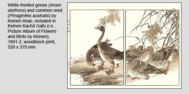 Habitat Preference eaxample
